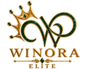 Winora Elite - Home